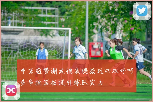申京盛赞谢泼德表现接近四双呼吁多争抢篮板提升球队实力